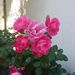 Bed & Breakfast La Cerisaie